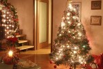 In Italia l'albero ed il presepe si allestiscono solitamente nella data dell'Immacolata Concezione