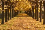 Nell'emisfero australe l'inverno dura circa tre giorni in pi della primavera