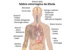 Sintomi del virus Ebola