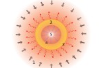 Struttura di una protostella