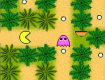 <b>Pacman nella Jungla - Pacmancar