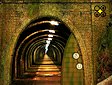 <b>Fuga dopo il trekking - Asylum forest escape