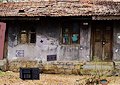 Gioco Libera il pappagallo