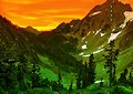 <b>Fuga dalla foresta in montagna - Dramatic mountain forest escape