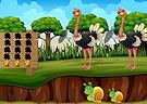 <b>Allevamento di struzzi - Find the ostrich tag game