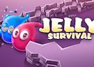 <b>Jelly survival
