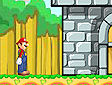 <b>Mario survival