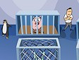 Gioco Fuga del pinguino