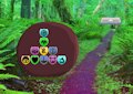 Gioco Foresta dai pesci argentati