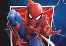 Gioco Spiderman mysterio rush