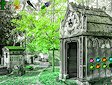 <b>Fuga dal cimitero in campagna - Town of cemetery escape