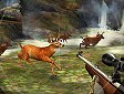 Gioco Caccia al cervo