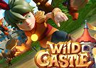 <b>Wild castle