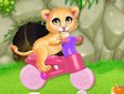 <b>Cura il leoncino - Baby lion caring