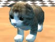 <b>Gatti simulatore 3D - Cat simulator kitty kraft
