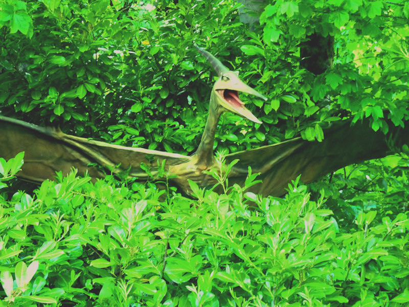 pterodactylus