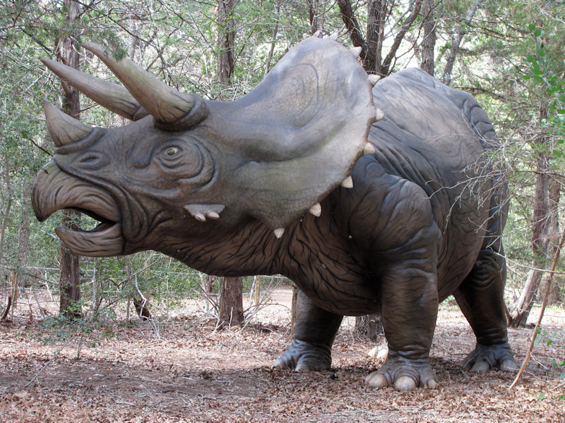 Animale Triceratops