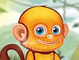 <b>Cura la scimmietta - Cute monkey care
