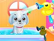 <b>Bagnetto per gli animaletti - Cute pets caring and dressup