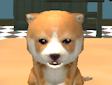 <b>Cani simulatore 3D - Dog simulator puppy craft
