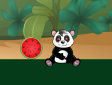 <b>Cocomero per il panda - Feed my panda