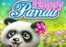 <b>Happy panda