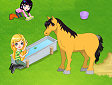 Gioco Parco per il Pony