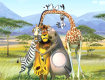 Gioco Numeri Madagascar