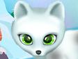 Intrattieni i cuccioli artici - paws to beauty artic edition