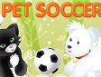 <b>Calcio con animali - Pet soccer