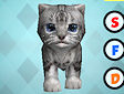 Gioco Rotola gattino
