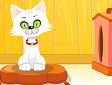 Gioco Gatto virtuale