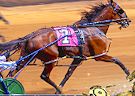 <b>Corse di cavalli HD - Harness racing