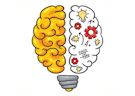 <b>Sfida di intelligenza - Brain master iq challenge