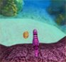 Gioco Cavallo di mare