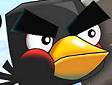 Gioco Crazy birds