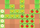 <b>Farming 10x10