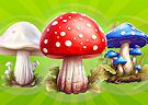 Funghi merge 2048 - Mergemushrooms 2048 game