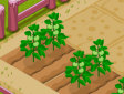 <b>Gestisci la fattoria - New farmer 2