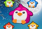 Gioco Penguin splash