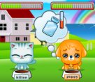 Animali domestici - Mypets