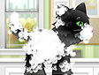 <b>Toilette per animali - Pet grooming
