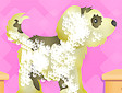 <b>Toilette animali lusso - Royal pet grooming