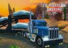 <b>Simulatore Tir 18 ruote - 18 wheeler driving sim