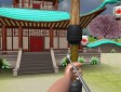 <b>Arcieri esperti Giappone - Archery expert 3d japan
