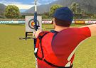 Gioco Archery king