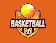 <b>Basketball 3D