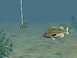 Pesca sul lago - Bass fishing