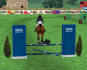 Gioco Ostacoli a Cavallo