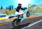 Gioco Fury bike rider